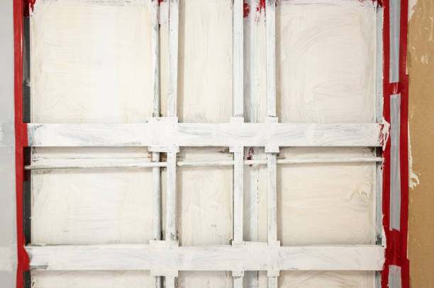 Trusted Belmont, PA Mold Removal Experts