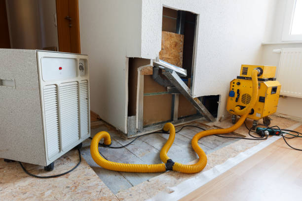 Best Forensic Mold Investigation  in Belmont, PA